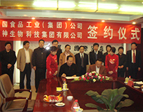 业务概况5